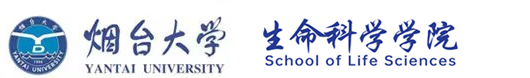 jinnianhui金年会